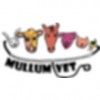 Mullumbimby Veterinary Clinic