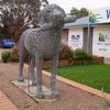 Roxby Downs Veterinary Clinic