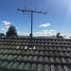 Antenna Systems & Service