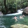 Daintree Secrets