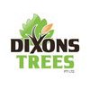 Dixons Trees
