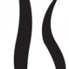 Waverley Road Chiropractic Centre