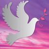 Silver Dove Funerals