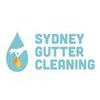 Sydney Gutter Cleaning