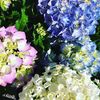 Riverside Nursery