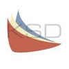 Kitchener Street Dental