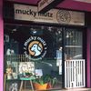 Mucky Mutz Dog Grooming