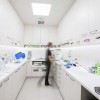 Dental Care Professionals
