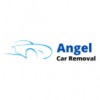 Angel Car Removal