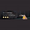 Mouse Pest Control Perth