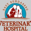 Bargara Veterinary Surgery