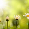 Ocean Grove Chiropractic