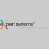 Expert Systems