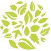 Domus Nursery