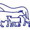 Casino Veterinary Clinic