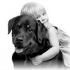 Vetwest Animal Hospitals