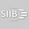 Security Industry Insurance Brokers
