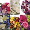 The Bouquet Florist