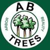 A B Trees