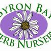 Byron Bay Herb Nursery