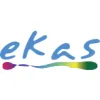 Ekas Marketing Research Services