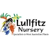 Lullfitz Nursey