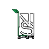 NS Landscapes