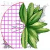Suzan Quigg Landscape Design