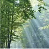 Maharishi Transcendental Meditation Program