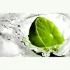 Gym and Tonic