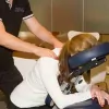 Tranquil Life Massage Therapy