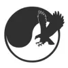 Kinetic Martial Arts