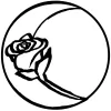 Rose Moon Flowers
