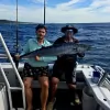 Frenzy Charters