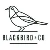 Blackbird & Co