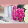 Annette Andrews Photography