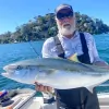 Fishabout Tours