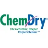 ChemDry Action