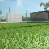 Recreational Surfaces Australia