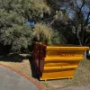 Southern Skips