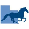 South Eastern Equine Hospital