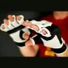 White Tiger Martial Arts Academy
