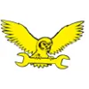Auto Owls