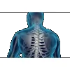 Nightcliff Chiropractic Health Centre