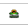 All Seasons Synthetic Turf