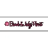 Bunch & Judy's Florist