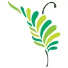 Fern Gully