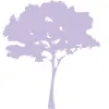 Jacaranda Preschool