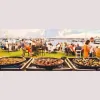 Perth Paella Parties