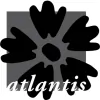 Atlantis Flowers